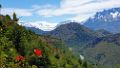 0564-dag-25-026-Torres del Paine Mirador Fernier